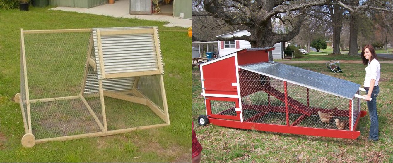  small chicken tractor and a larger but still moveable chicken tractor