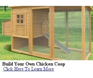 chicken coop plans