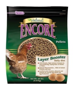 chicken feed for raising chickens