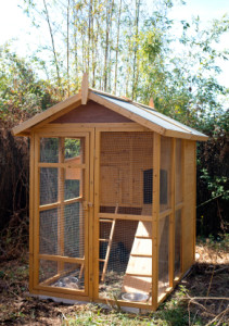 chicken house chicken coop